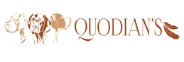 Quodian's