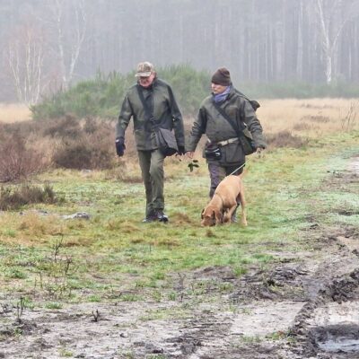 honden-dorka-20