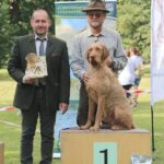 honden-lumi-vader3