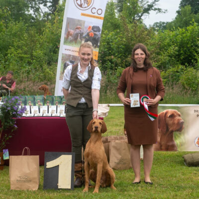 honden-sam-13