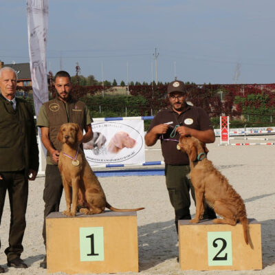 honden-sam-5