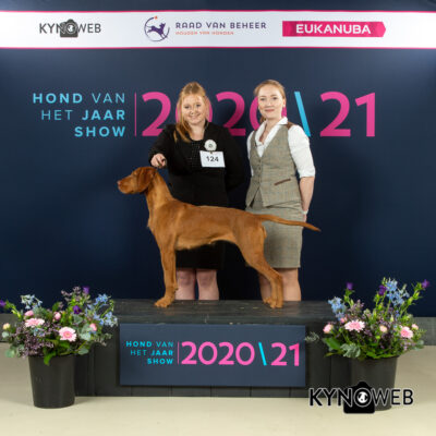 honden-teven-norah-24