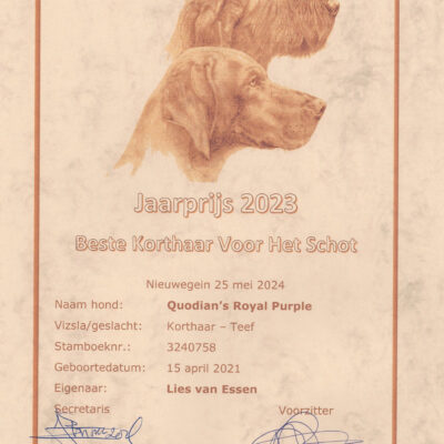honden-tika-15