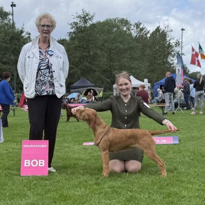 honden-whinnie-24