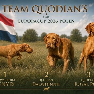 Polen en Oostenrijk